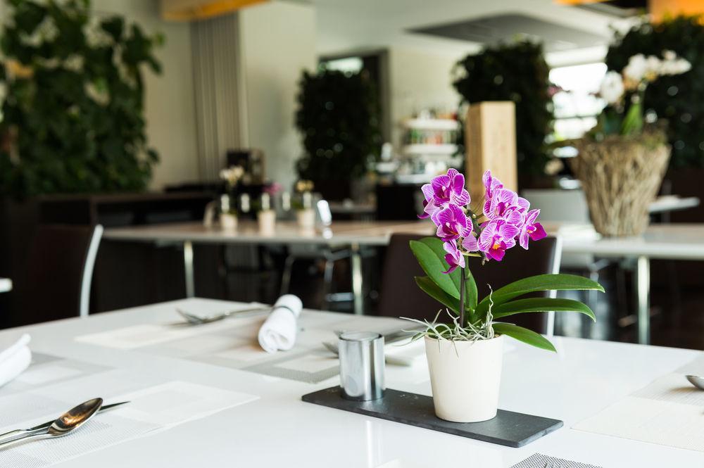 Hotel Apart - Welcoming L Urban Feel L Design Risch-Rotkreuz Exteriör bild